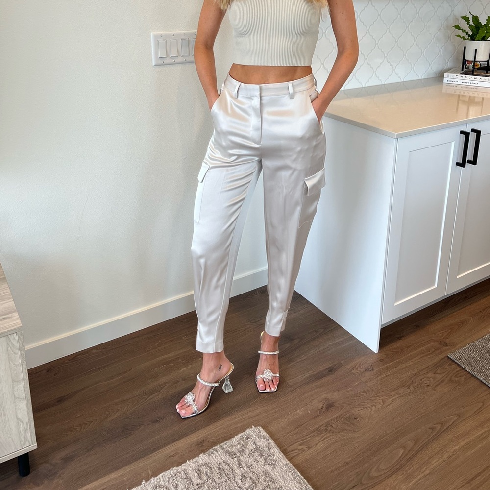 Aritzia Babaton silk cargo pants